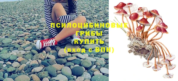 шишки Балабаново
