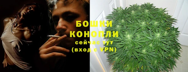 шишки Балабаново