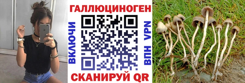 Галлюциногенные грибы мицелий  цены   Волчанск 